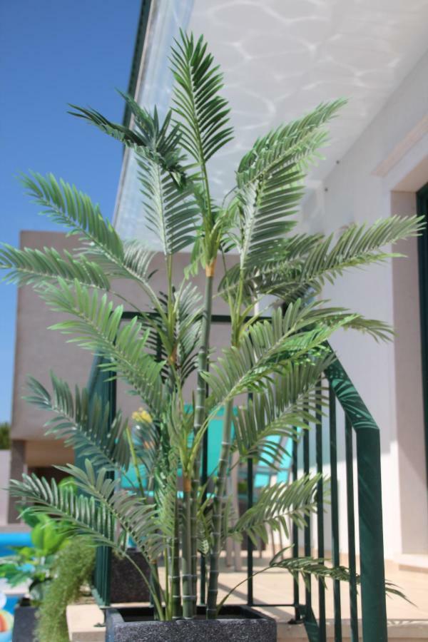 Olive View Villa Vila Nova da Barquinha Exterior foto